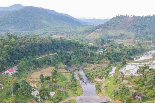 Bản vùng cao Nghệ An lập hương ước bảo vệ loài cá quý hiếm