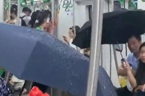 Hy hữu khách đi tàu phải che ô vì dột nước: Lãnh đạo metro Hà Nội nói gì?