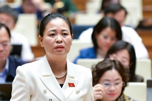 Hậu kiểm không phải việc kiểm tra tùy tiện, tùy hứng của cán bộ