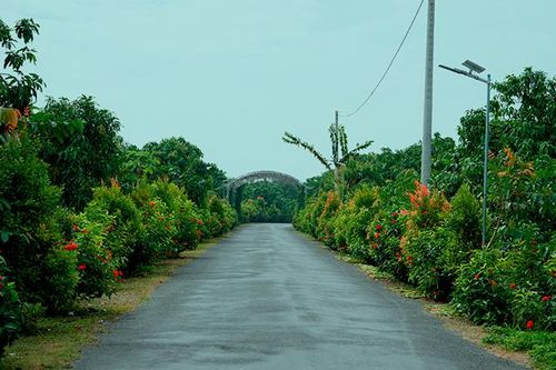 Mô hình 'Làng thông minh' góp phần phát triển kinh tế số, xã hội số ở Đồng Tháp