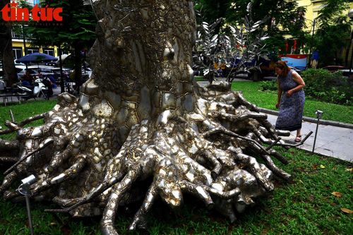 Hồi sinh sự sống cho cây - thông điệp giáo dục từ nghệ thuật