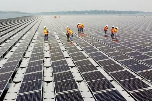 Ngành pin mặt trời Đông Nam Á lao đao vì phụ thuộc thị trường Mỹ