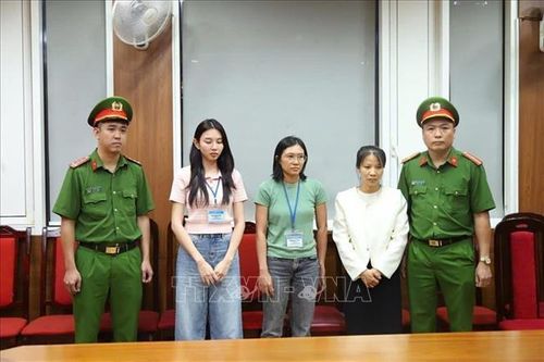 Đại biểu Quốc hội: Người nổi tiếng càng phải sống, làm việc đúng pháp luật và chuẩn mực đạo đức