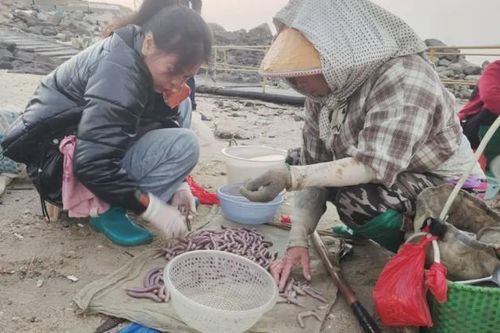 Săn loài 'không có tim, gan, phổi' mà xây được biệt thự
