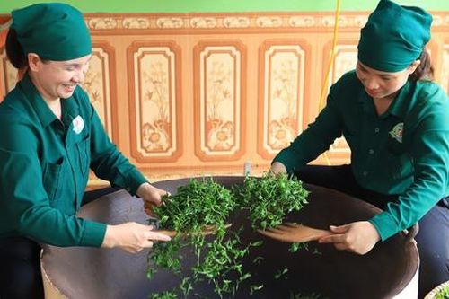 Tôn vinh di sản chè Thái Nguyên, thúc đẩy du lịch văn hóa