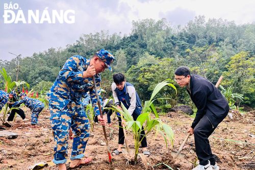 Đà Nẵng tăng cường giải pháp phát triển cây xanh đô thị