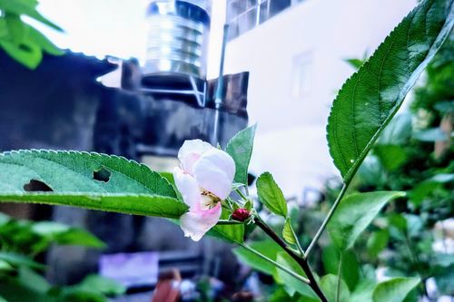 Bản tin Dự báo thời tiết ngày 21/5/2025