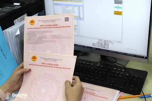 Xem xét cấp giấy chứng nhận quyền sử dụng đất cho người dân