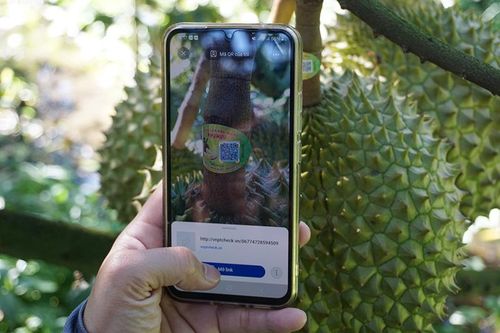 Châu Thành: Dấu ấn và động lực từ chuyển đổi số
