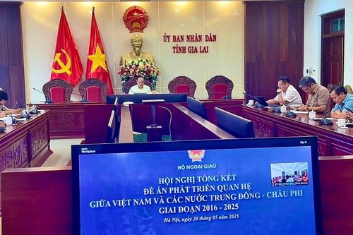 Tổng kết đề án phát triển quan hệ giữa Việt Nam và các nước Trung Đông-châu Phi