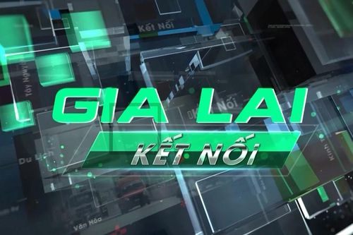 Bản tin Gia Lai kết nối ngày 20-5-2025
