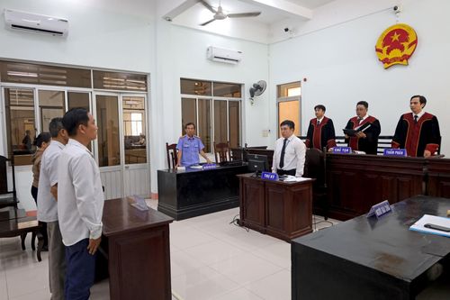 Vụ hối lộ để được tiếp tục phá rừng: Tòa nhận định còn hành vi chưa được truy tố, xét xử