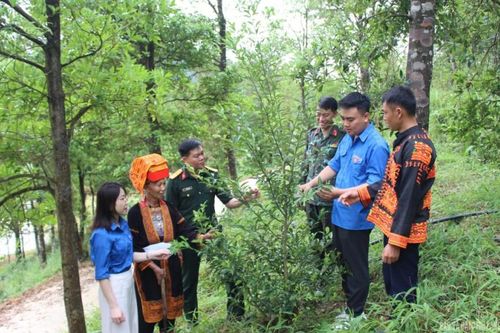 Sức trẻ ở vùng biên