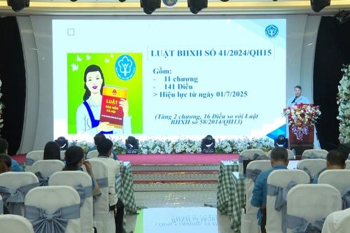 Hơn 200 đại biểu được tập huấn Luật Công đoàn số 50/2024/QH15 và Luật Bảo hiểm xã hội số 41/2024/QH15