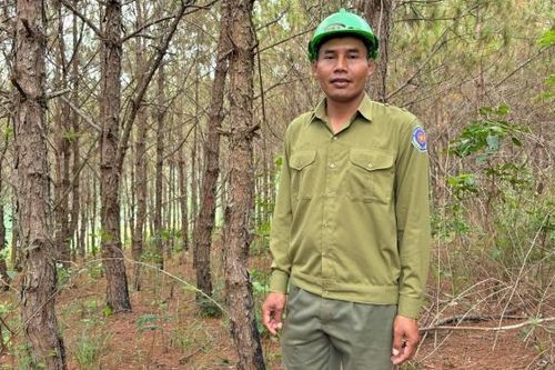 Giữ rừng cho quê mẹ thêm xanh