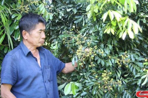 Thay đổi nhận thức, cách làm để nâng cao thu nhập