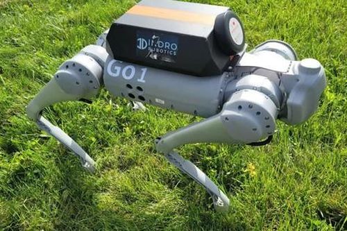 Robot chó xuất hiện dày đặc ở 'đảo quốc sư tử'