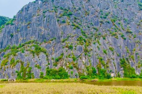 Đầm Vân Long - Báu vật thiên nhiên giữa vùng núi đá vôi Ninh Bình