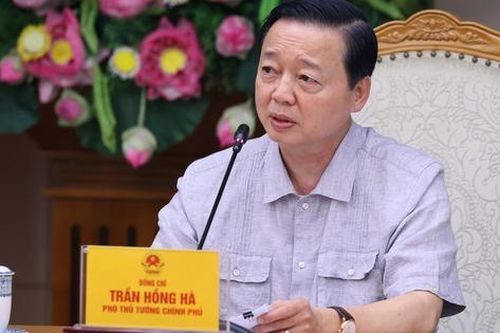 Xây dựng kế hoạch tổng thể phát triển nhiên liệu hàng không bền vững