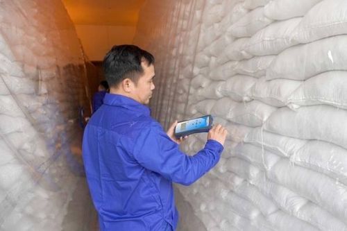 Xuất cấp hơn 1.308 tấn gạo dự trữ quốc gia hỗ trợ tỉnh Cao Bằng dịp giáp hạt đầu năm 2025