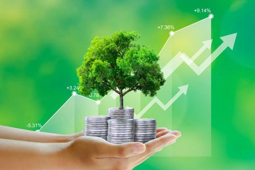 Doanh nghiệp xanh hóa: Từ chủ động chiến lược đến hành động thực tiễn