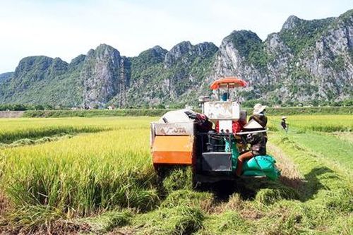Người dân tộc thiểu số ở Tuyên Hóa chuyển mình trên vùng gió Lào cát trắng