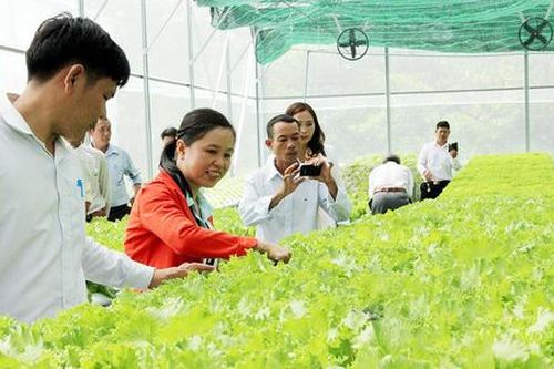 Khi nông sản Bù Gia Mập 'lên sàn' thương mại điện tử