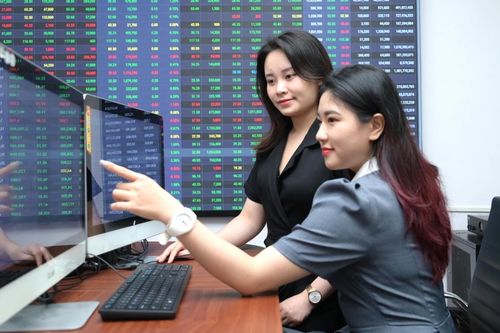 AGR phát hành cổ phiếu trả cổ tức để nâng cao năng lực tài chính