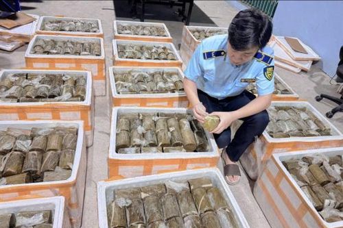 Tiêu hủy 1 tấn thực phẩm là chả chay không có nguồn gốc xuất xứ