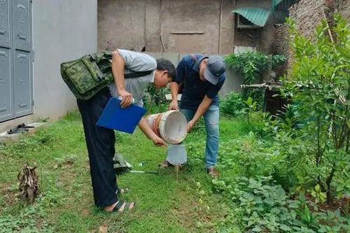 CDC Hà Nội giám sát ổ dịch sốt xuất huyết cũ