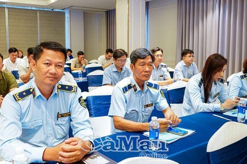 Thực thi pháp luật trong hoạt động thương mại điện tử