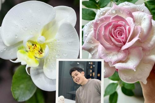 Chàng trai TP.HCM làm hoa bằng kem 'thật còn hơn cả hoa thật'