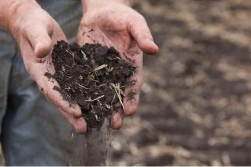 60% đất nông nghiệp Việt Nam bị xói mòn: Hồi chuông cảnh báo không thể xem thường