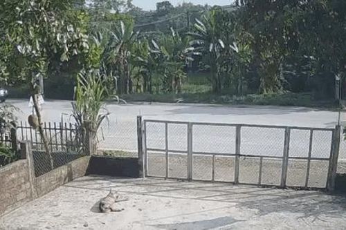 Vào cua tốc độ cao, xe máy đối đầu xe khách khiến một người tử vong ở Tuyên Quang
