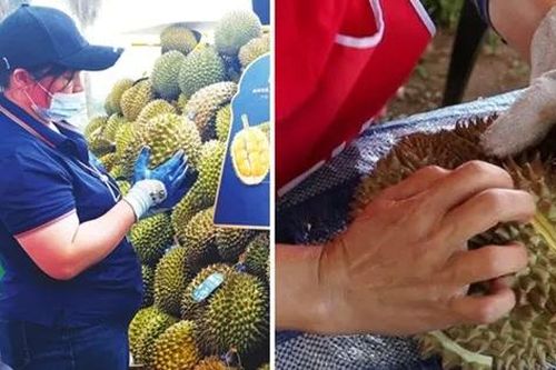 Sầu riêng 'nhúng thuốc' là nhúng vào chất gì, ăn vào có nguy cơ gì không?