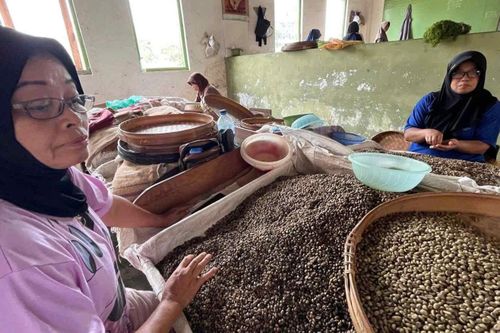 Indonesia muốn vượt Việt Nam về xuất khẩu cà phê