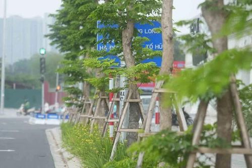 Hà Nội: Nỗ lực hạn chế tai nạn do bất cập từ biển báo, hạ tầng giao thông