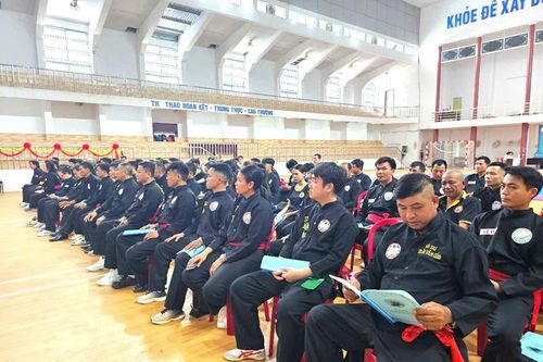 Hơn 100 võ sư, huấn luyện viên tập huấn chuyên môn Võ cổ truyền Bình Định