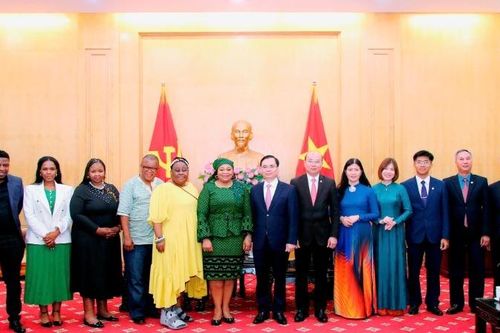 Làm sâu sắc thêm quan hệ hữu nghị, hợp tác truyền thống Việt Nam-Nam Phi