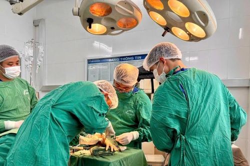 Hải Phòng nối thành công bàn tay đứt rời do tai nạn lao động
