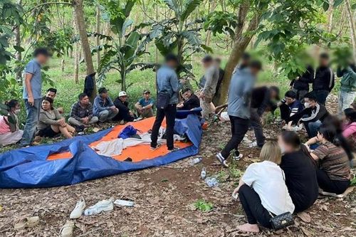 Công an Nghệ An triệt xóa 'ổ nhóm' đánh bạc trong rừng cao-su