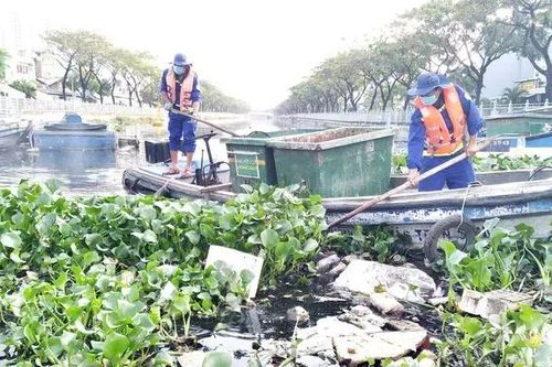 TPHCM: Đề xuất đơn giá dự toán dịch vụ vớt rác trên sông, kênh rạch