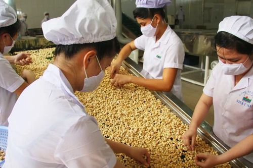 Trung Quốc vượt Mỹ về tiêu thụ điều của Việt Nam