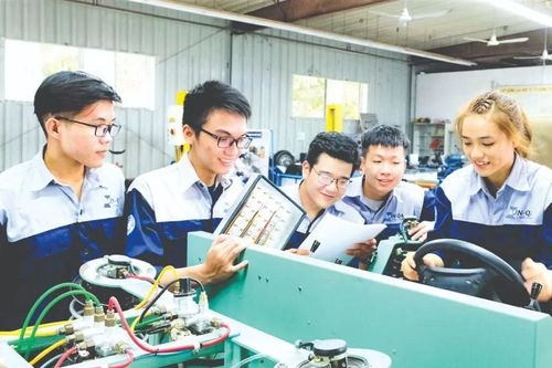 Đẩy nhanh số hóa văn bằng, chứng chỉ