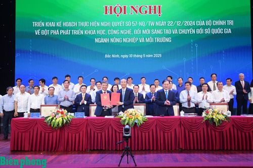 Hoàn thiện thể chế thúc đẩy chuyển đổi số trong ngành nông nghiệp