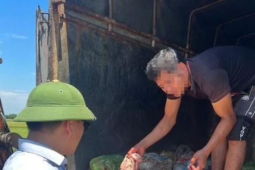 Phát hiện hơn 1 tấn sản phẩm động vật đang phân hủy trên xe tải