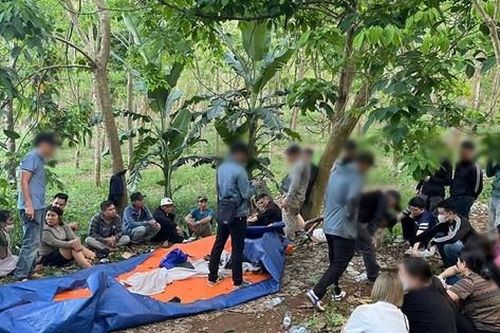Triệt xóa sới bạc trong rừng, bắt nhiều đối tượng có tiền án