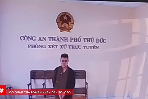 Tuyên án 'Mr Lee' Trương Thanh Tịnh 9 tháng tù vì lợi dụng mạng xã hội đăng tin sai sự thật