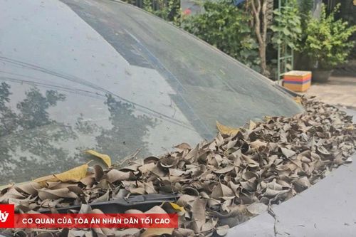 Ô tô nằm 'án binh bất động' cả năm trước nhà dân