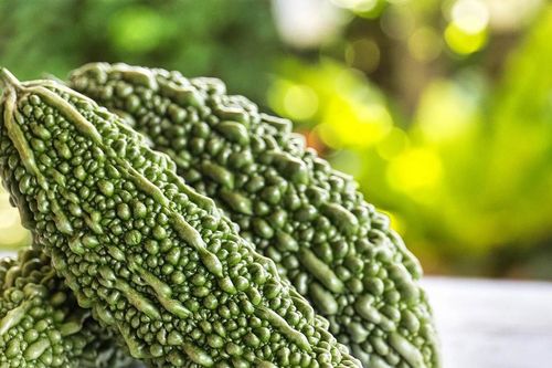 Loại quả đắng ngắt được người dân đảo trường thọ ở Nhật ưa chuộng